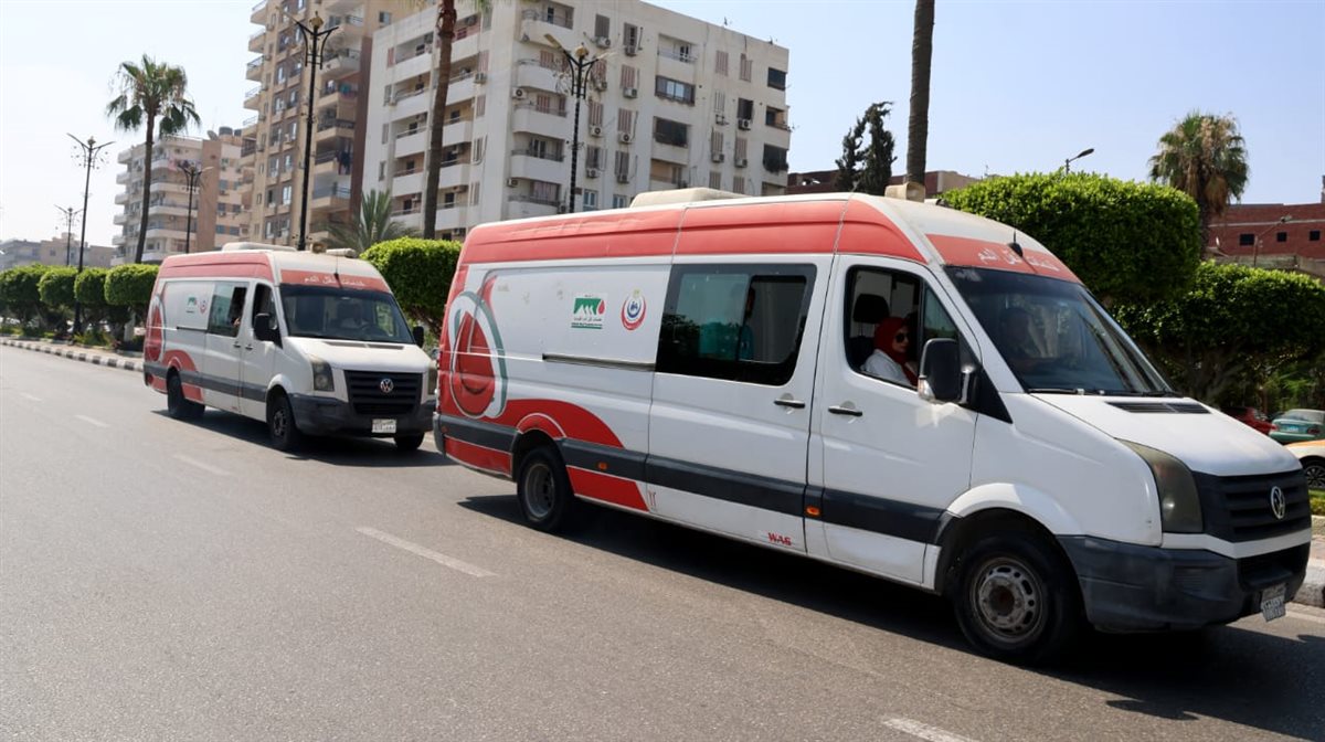 جانب من فعاليات الاحتفالية، فيتو