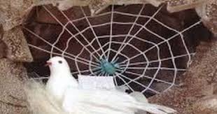 دروس الهجرة النبوية.. عنكبوت غار ثور ورجوع سراقة بن مالك - اليوم السابع