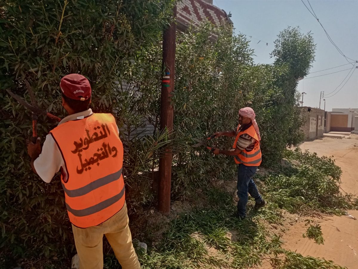 جانب من أعمال التطوير، فيتو