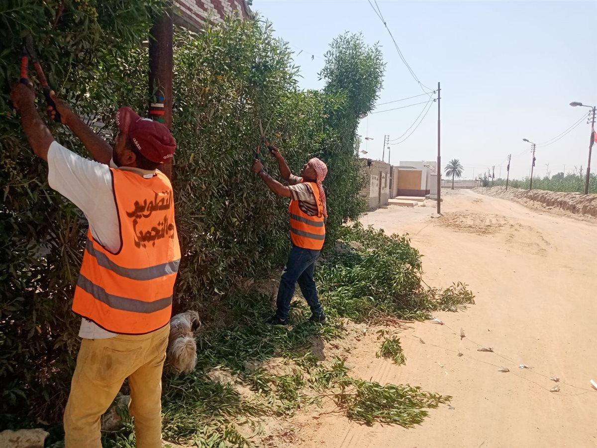 جانب من أعمال التطوير، فيتو