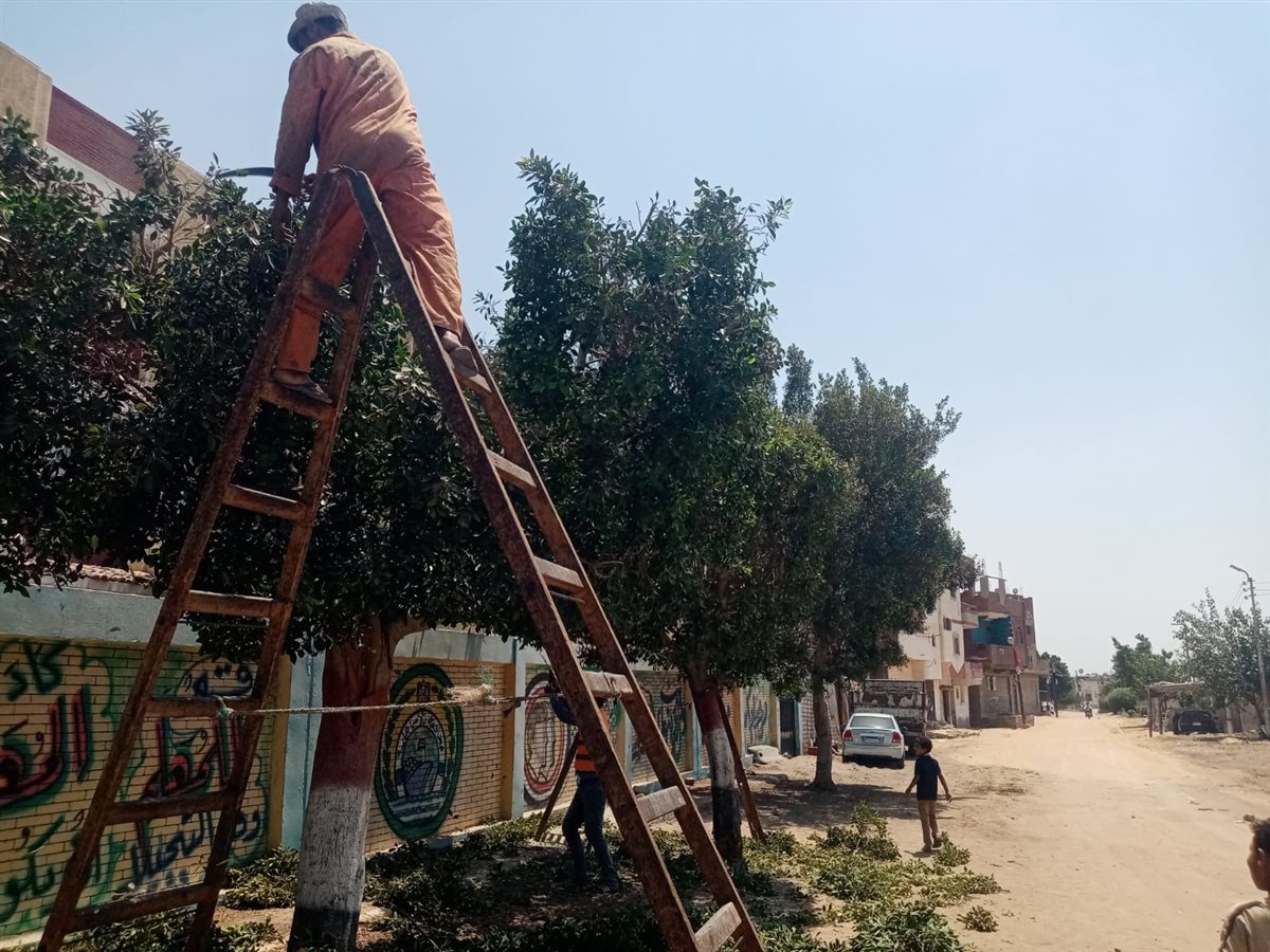 جانب من أعمال التطوير، فيتو