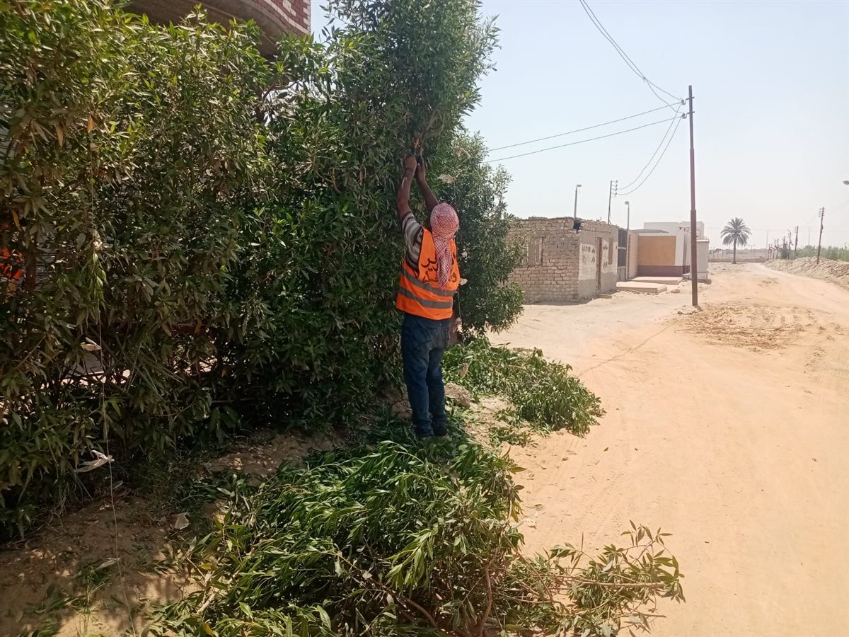 جانب من أعمال التطوير، فيتو