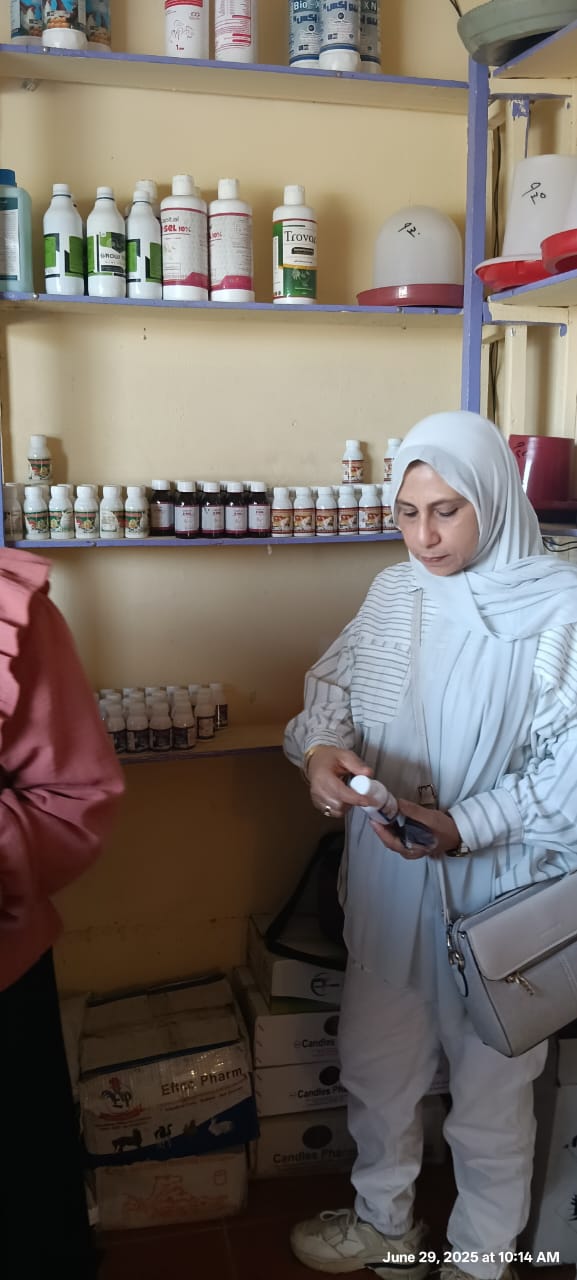 جانب من العمل داخل العيادة البيطرية، فيتو