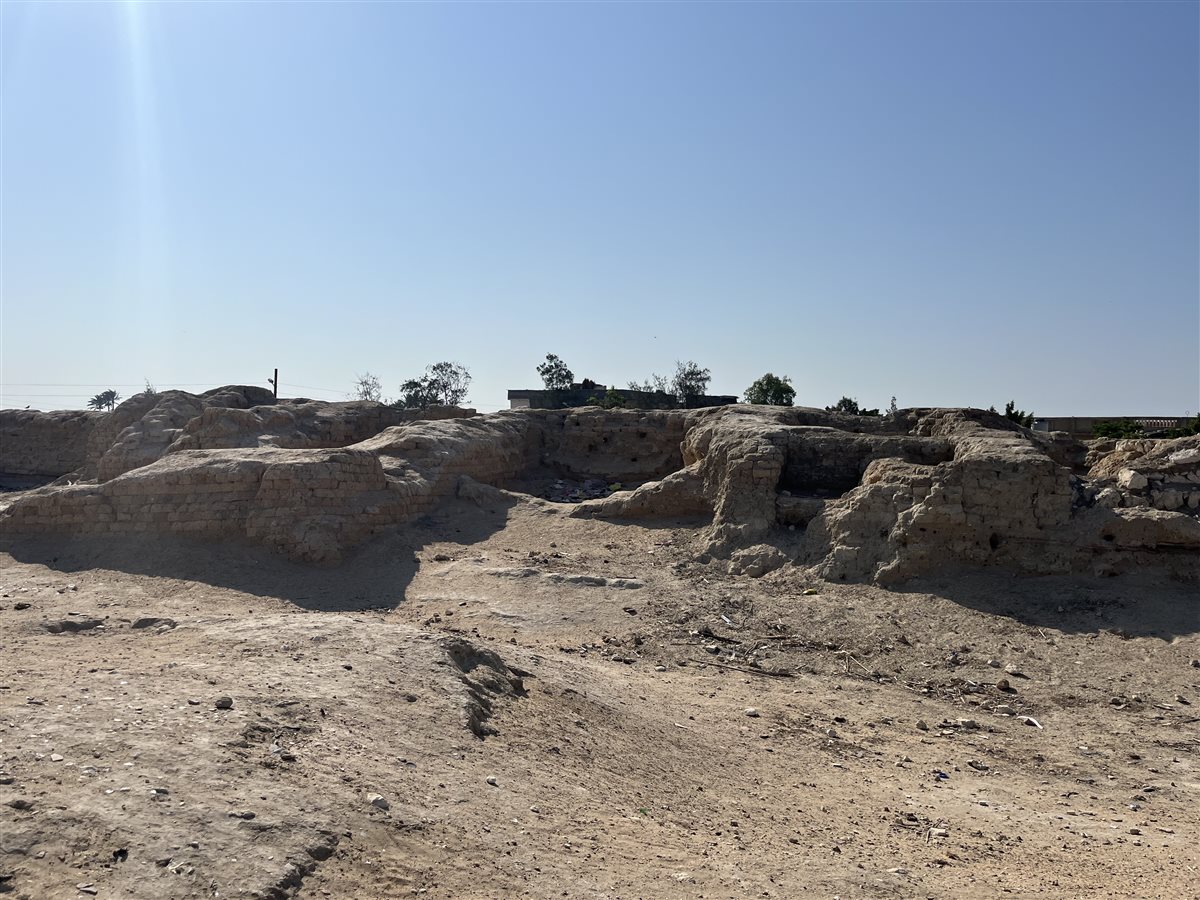 معصرة نبيذ اثرية بمحافظة البحيرة، فيتو