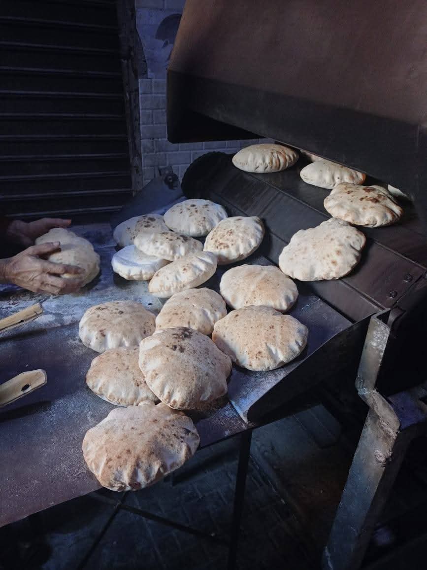 جانب من الحملات، فيتو