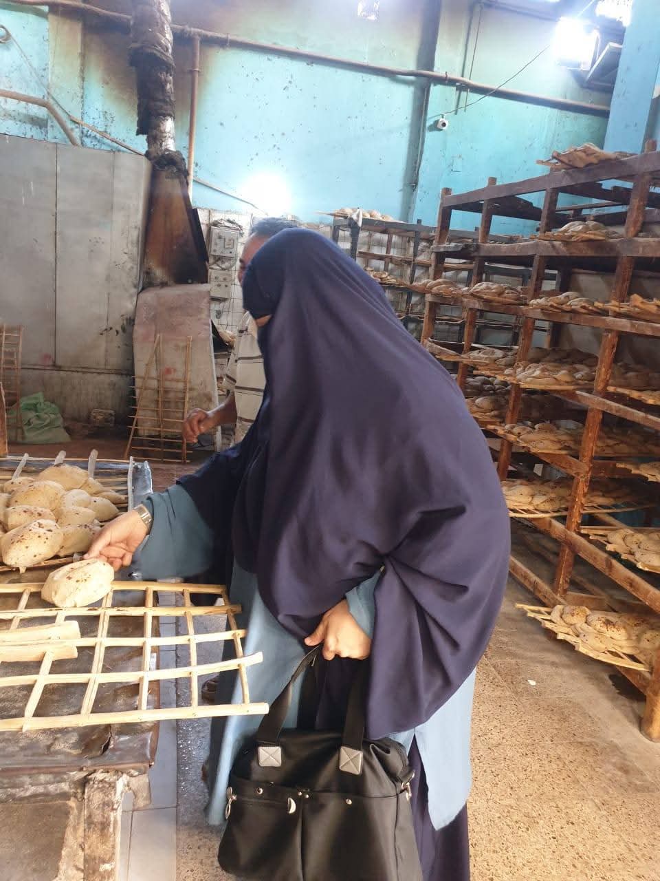 جانب من الحملات، فيتو