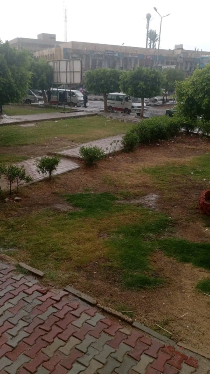 أمطار خفيفة تُفاجئ مناطق متفرقة بالشرقية رغم الأجواء الحارة،فيتو