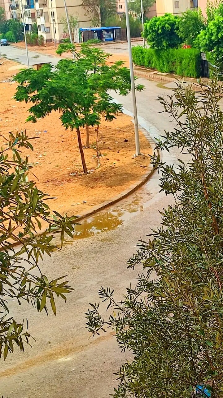هطول أمطار على العاشر من رمضان رغم الأجواء الحارة..والمواطنون يوثقون المشهد بالصور،فيتو
