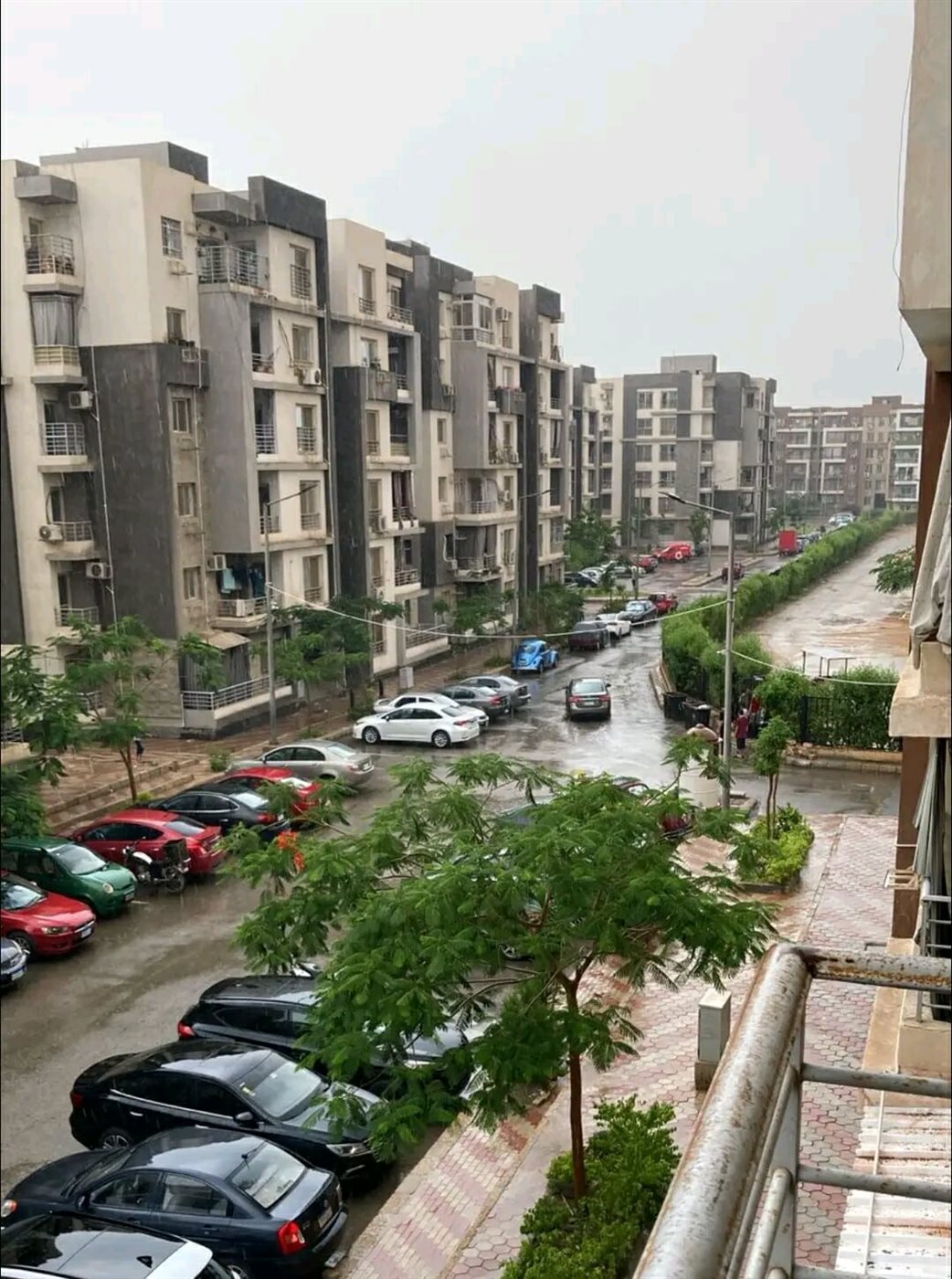 هطول أمطار على العاشر من رمضان رغم الأجواء الحارة..والمواطنون يوثقون المشهد بالصور،فيتو