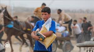 <strong>غزة، فيتو</strong>