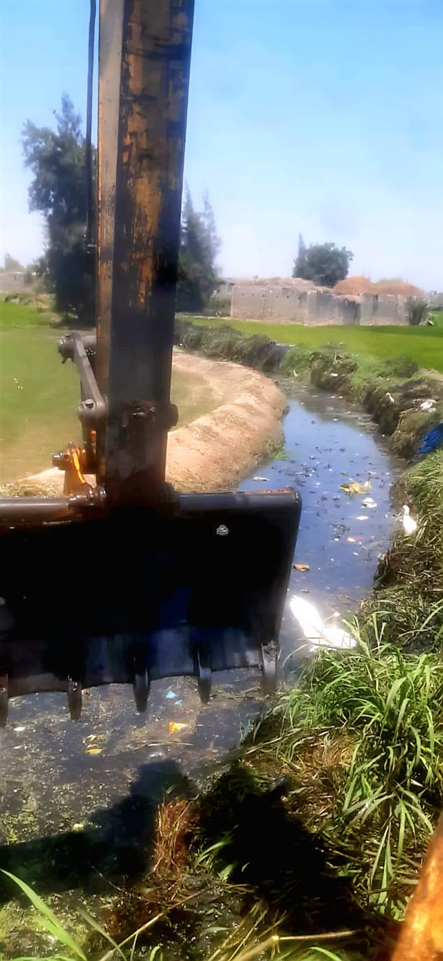 جانب من أعمال التطهير،فيتو