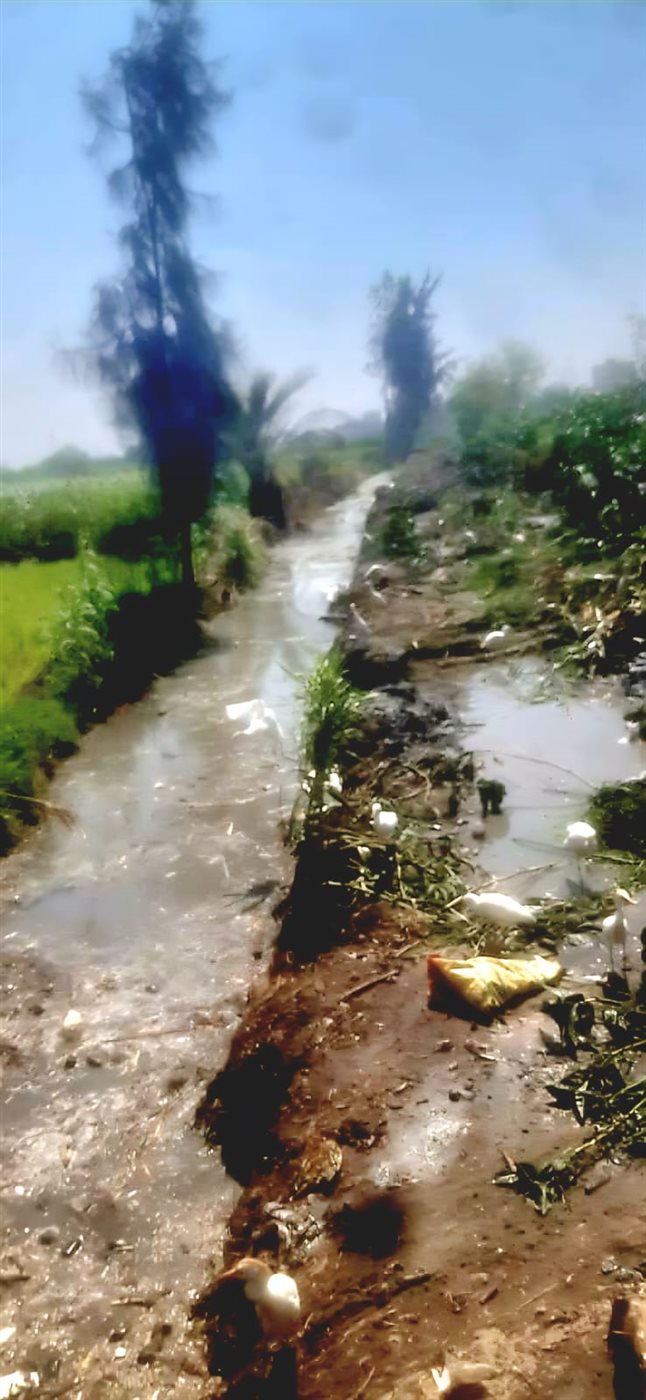 جانب من أعمال التطهير،فيتو