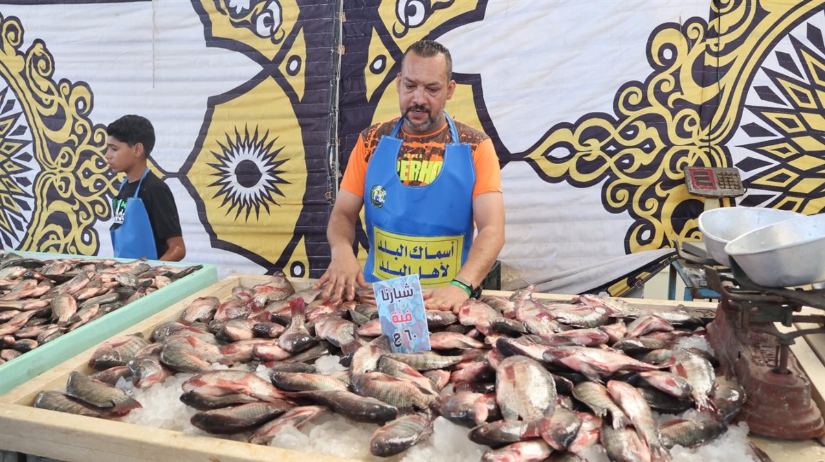 جانب من اطلاق المبادرة، فيتو