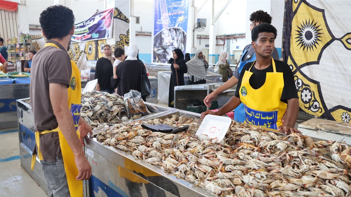 جانب من اطلاق المبادرة، فيتو