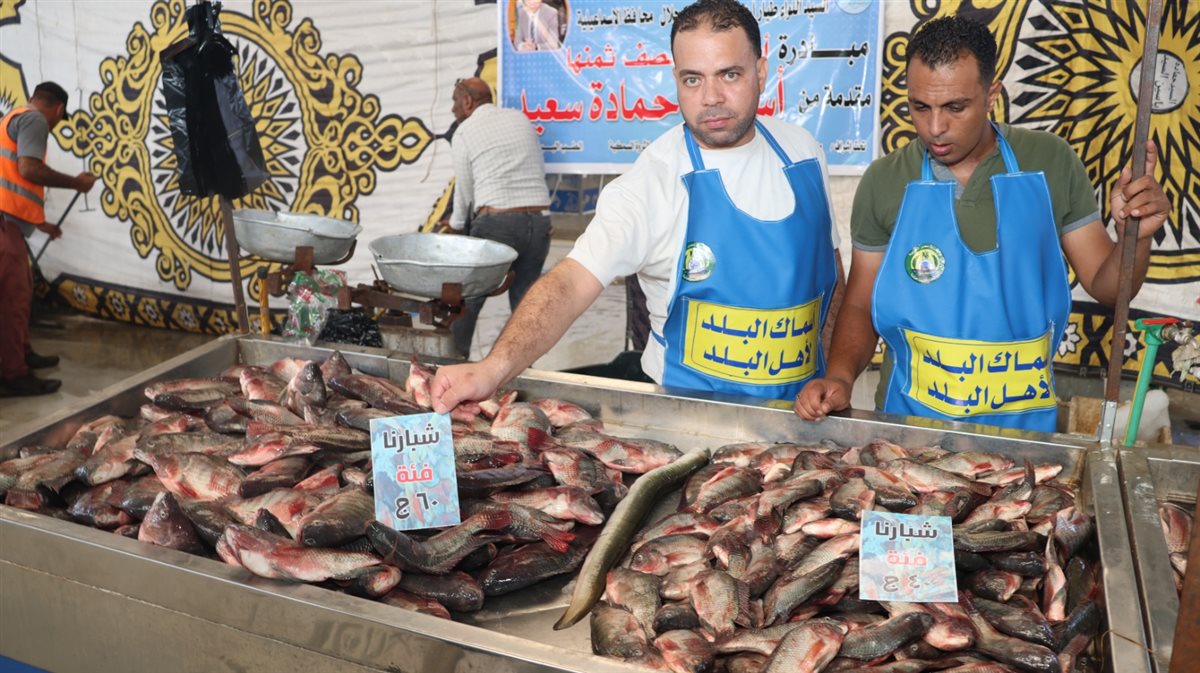 جانب من اطلاق المبادرة، فيتو