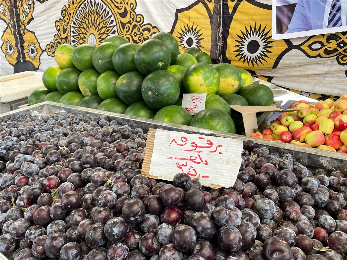 مبادرة الإسماعيلية، فيتو