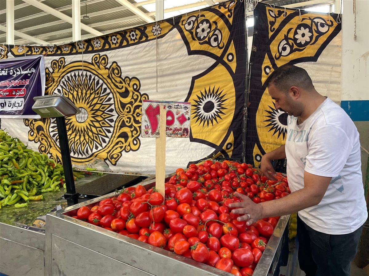 مبادرة الإسماعيلية، فيتو