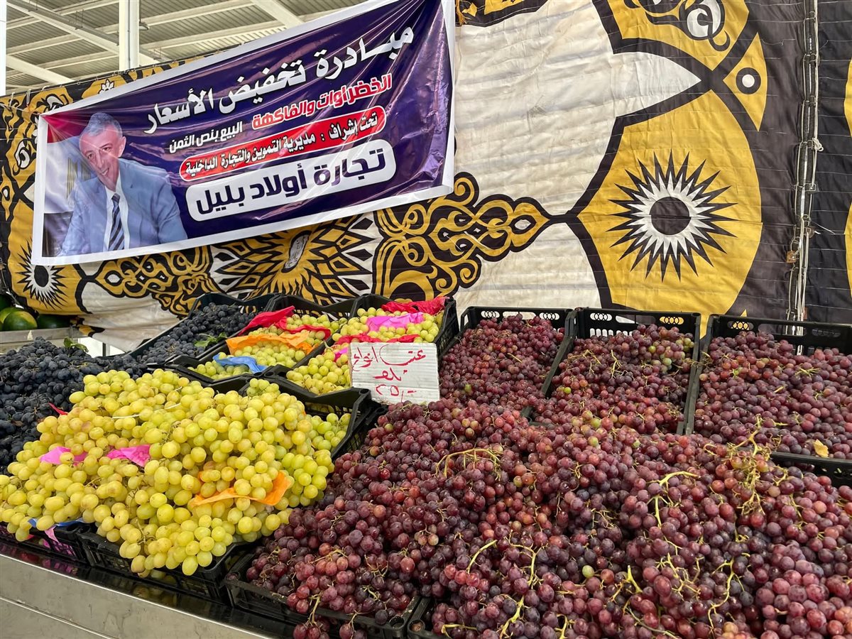 مبادرة الإسماعيلية، فيتو