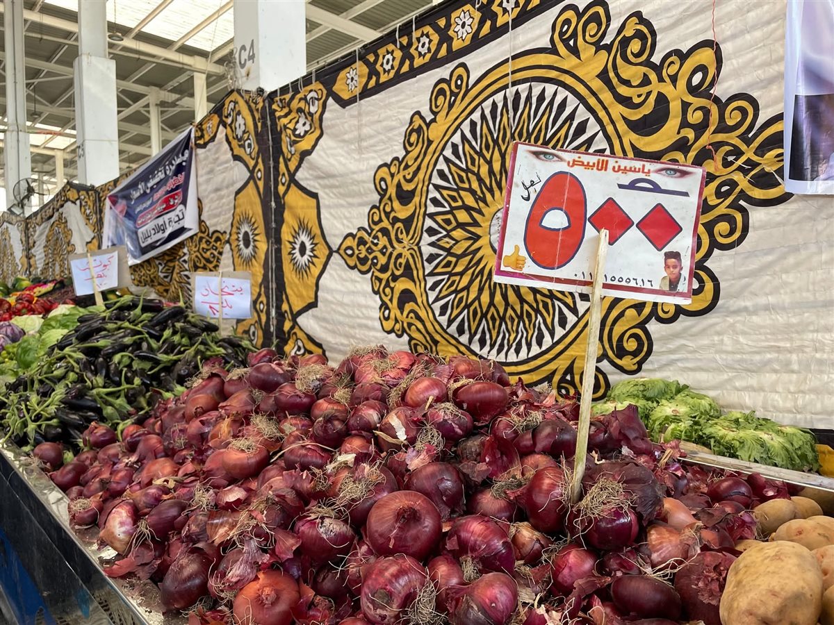 مبادرة الإسماعيلية، فيتو