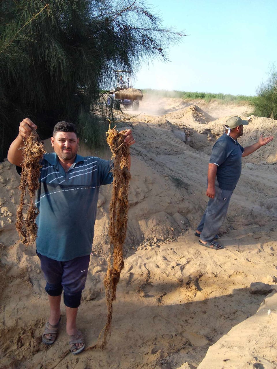 جانب من الأعمال، فيتو