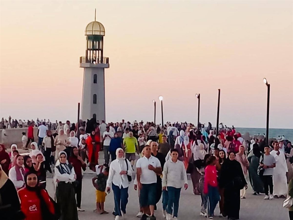 فعاليات حملة