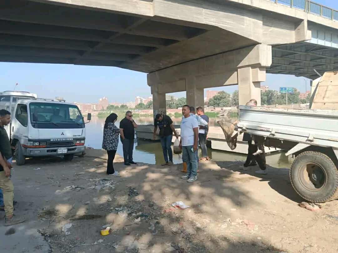 إنزال 600 ألف زريعة بلطي ومبروك بثلاثة مسطحات مائية بالشرقية لتعزيز الثروة السمكية،فيتو