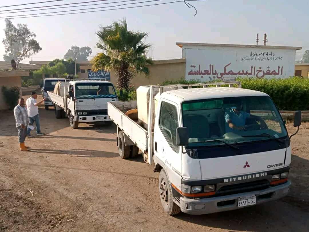 إنزال 600 ألف زريعة بلطي ومبروك بثلاثة مسطحات مائية بالشرقية لتعزيز الثروة السمكية،فيتو