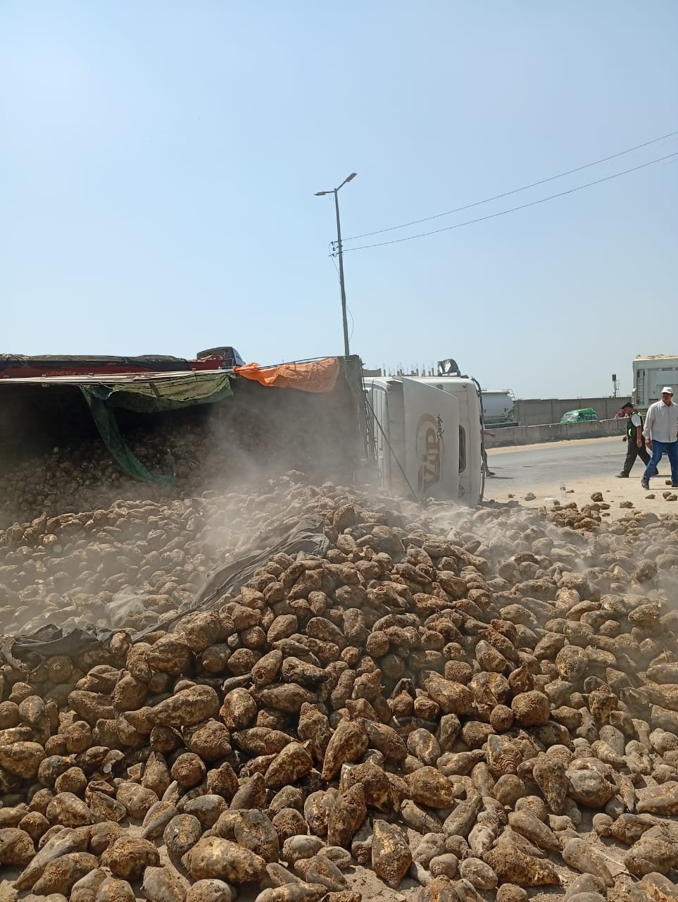 انقلاب سيارة محملة بالبنجر علي الطريق الزراعي،فيتو