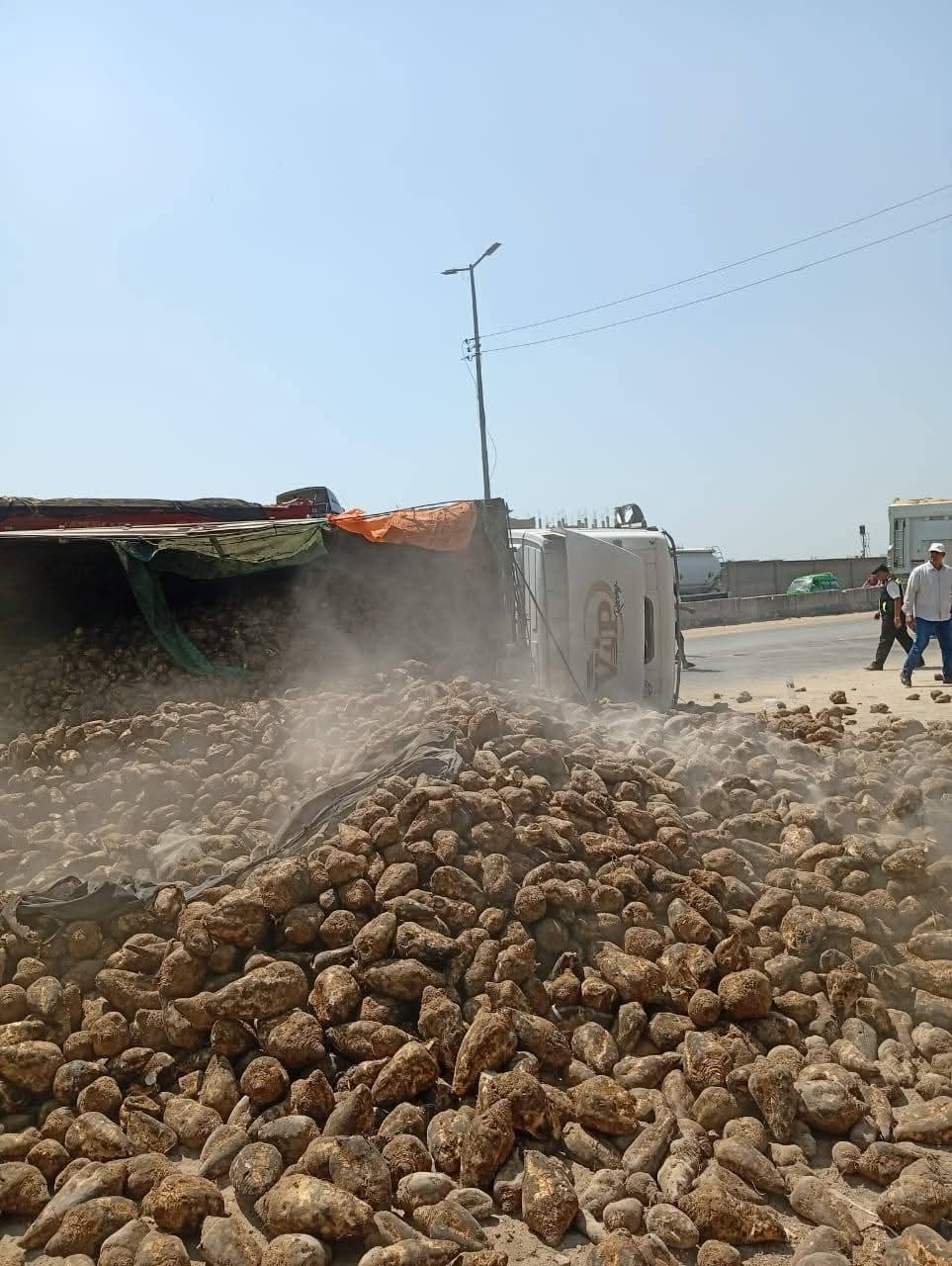 انقلاب سيارة محملة بالبنجر علي الطريق الزراعي،فيتو