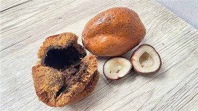 فوائد الدوم للصحة 