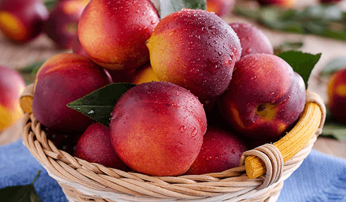 فوائد الخوخ للصحة