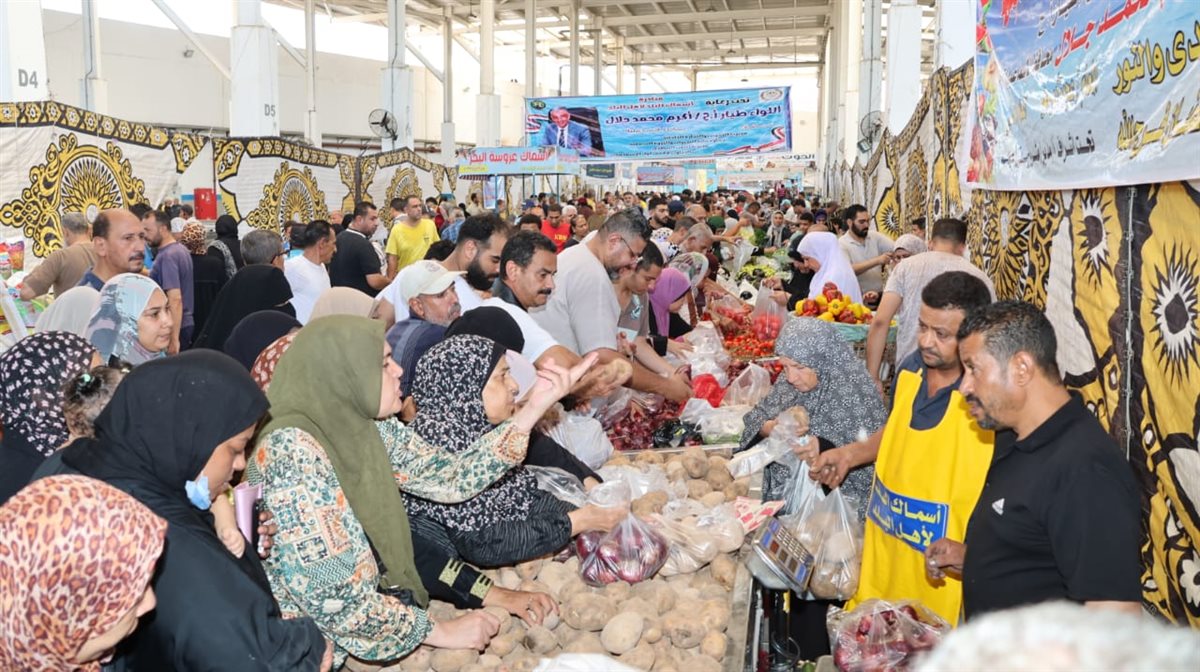 جانب من فعاليات المبادرة، فيتو