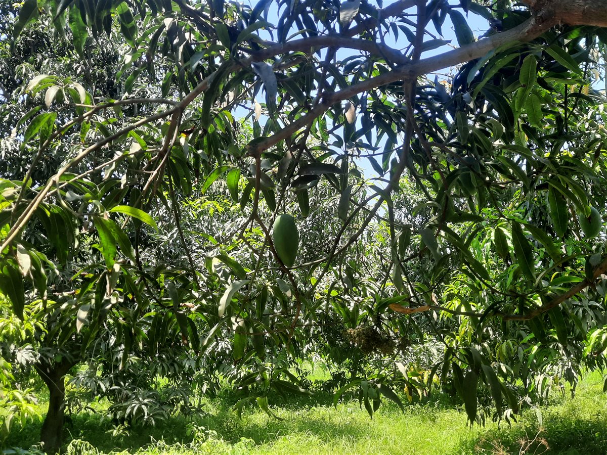 جانب من اللقاء، فيتو