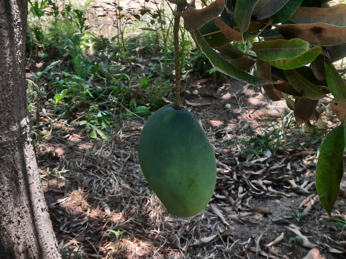 جانب من اللقاء، فيتو