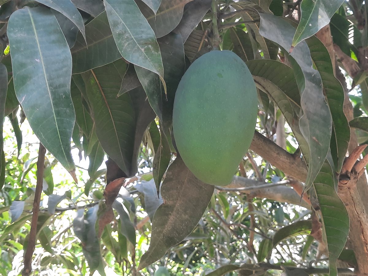 جانب من اللقاء، فيتو