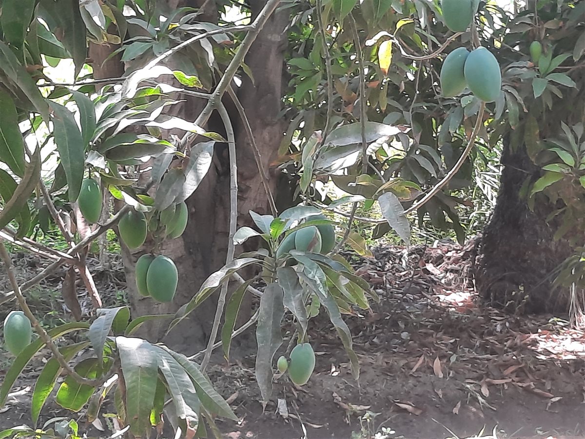 جانب من اللقاء، فيتو