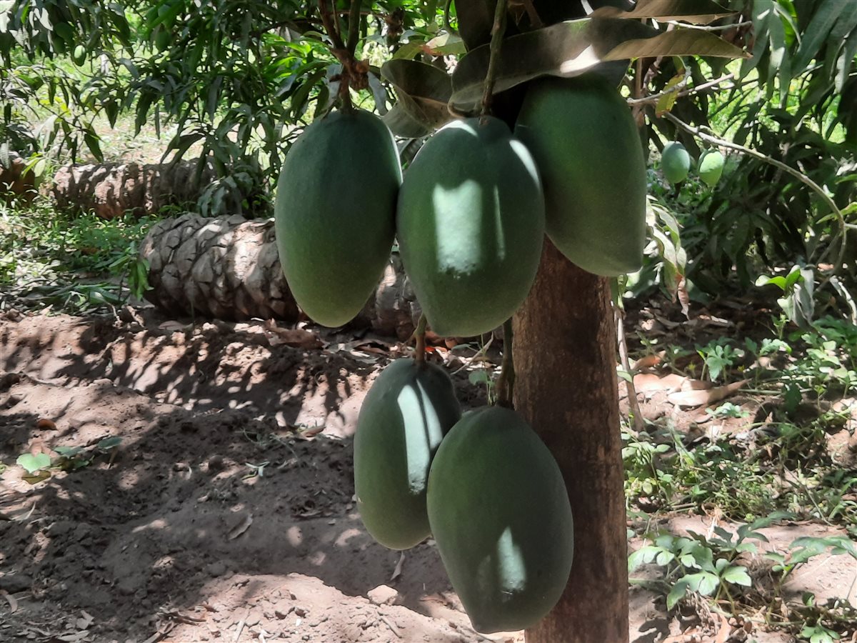 جانب من اللقاء، فيتو