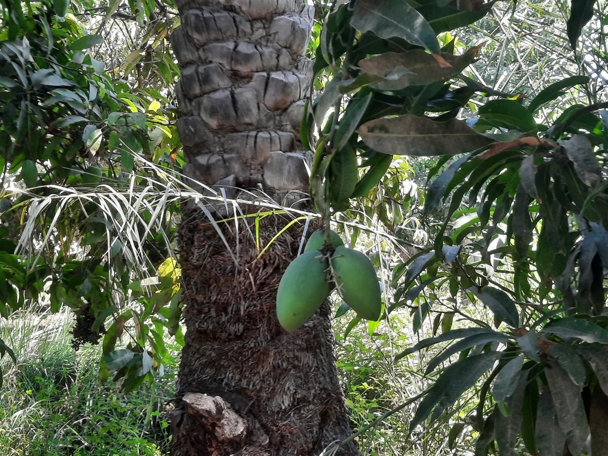 جانب من اللقاء، فيتو