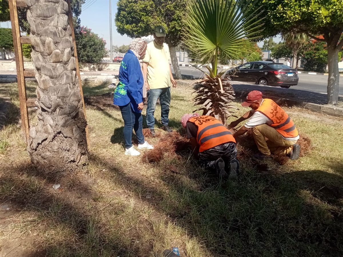 جانب من الأعمال، فيتو