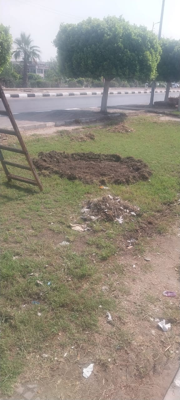 جانب من الأعمال، فيتو