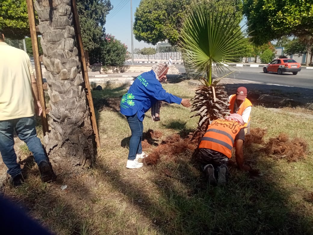 جانب من الأعمال، فيتو