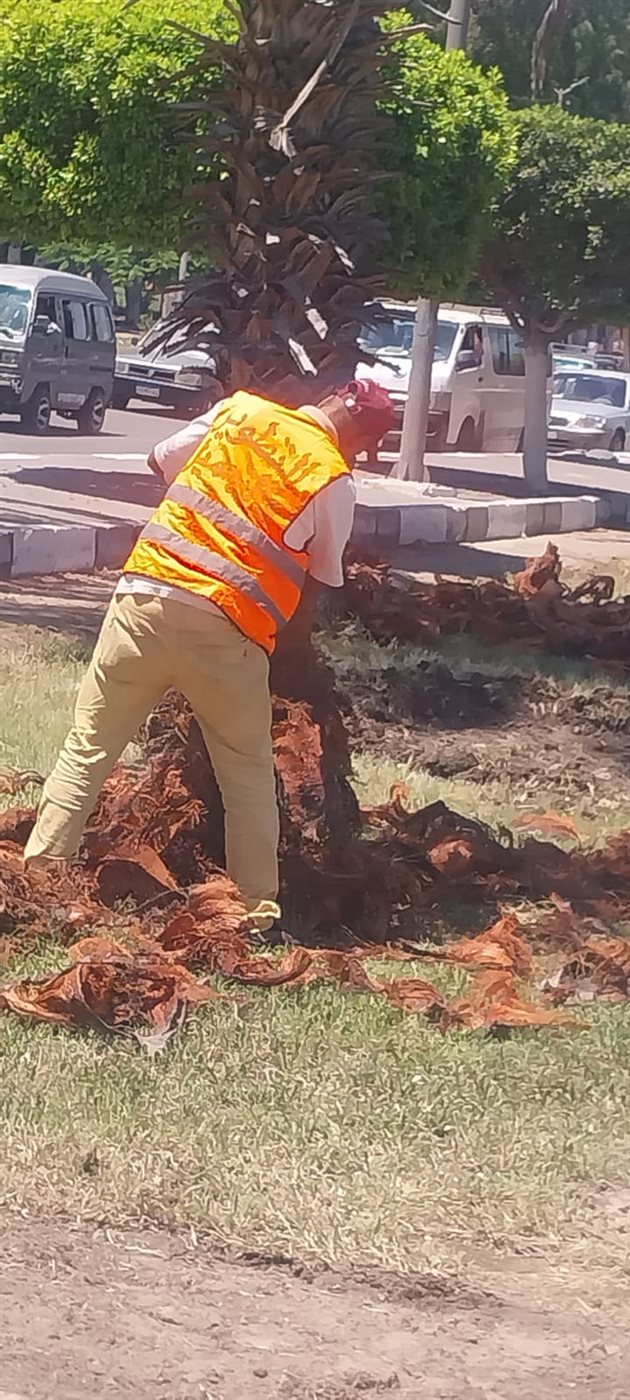 جانب من الأعمال، فيتو