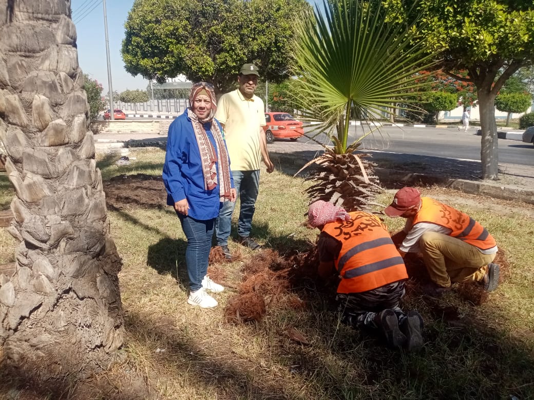جانب من الأعمال، فيتو