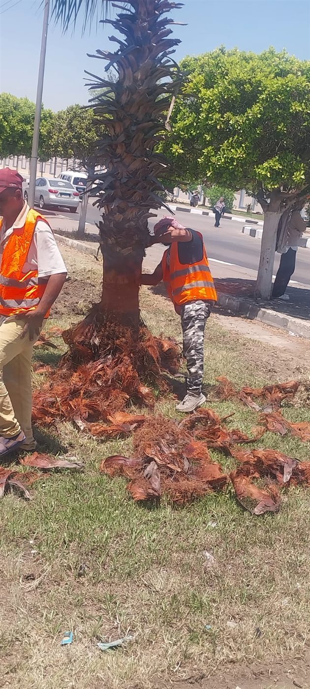 جانب من الأعمال، فيتو