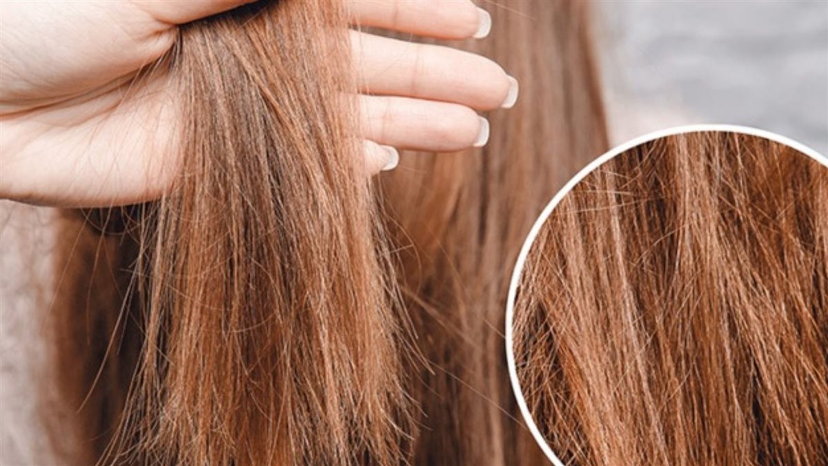 وصفات للشعر التالف