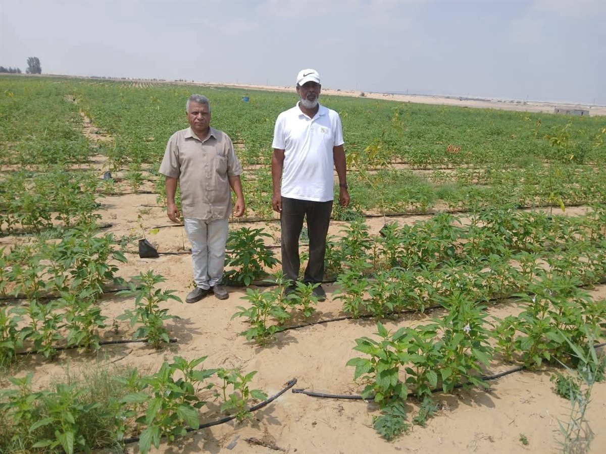 جانب من الجولات الميدانية،فيتو