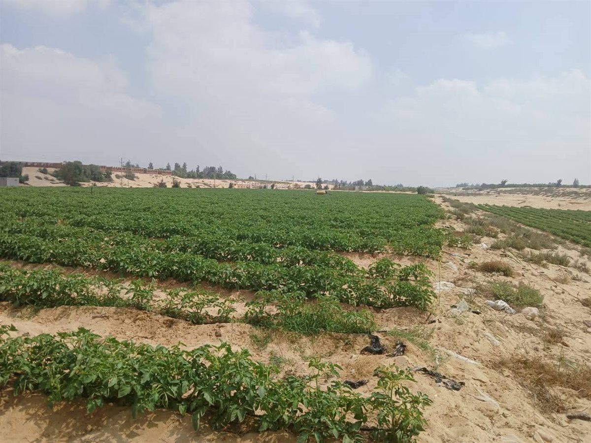 جانب من الجولات الميدانية،فيتو