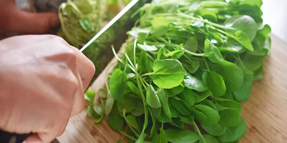 فوائد الرجلة للصحة 