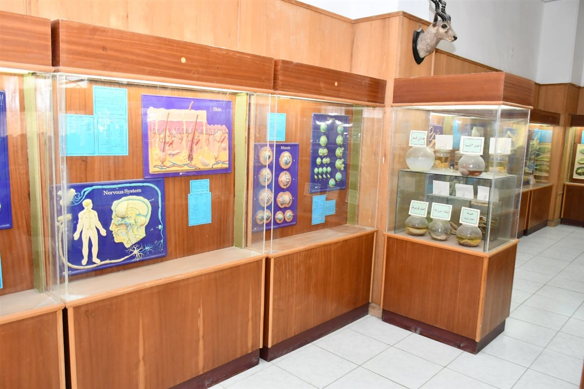 جانب من الجولة، فيتو