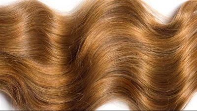 وصفة البيض والزيوت لتغذية الشعر 